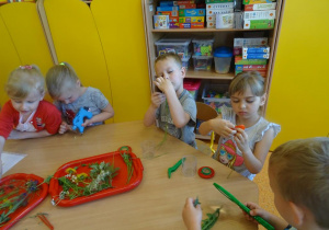 Dzieci obserwują rośliny w sali przedszkolnej.